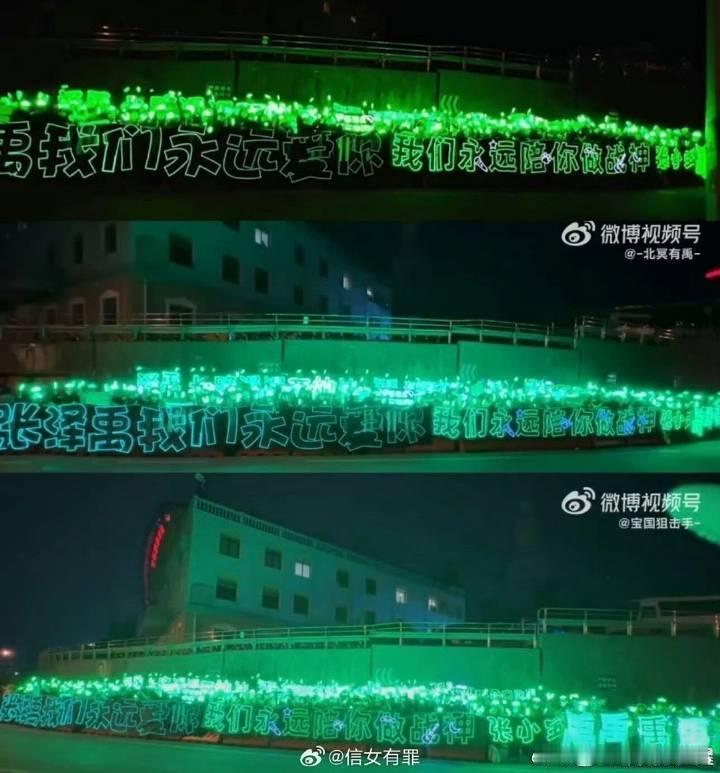 张泽禹绿海一条街    张泽禹粉丝绿海一条街  张泽禹的绿海，让人感受到了粉丝的