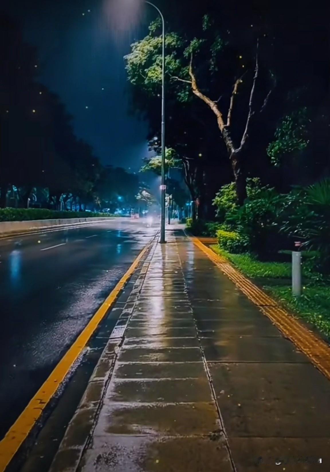 记录我的2026风雨兼程，砥砺奋进，2026我必将铸就辉煌人生！
