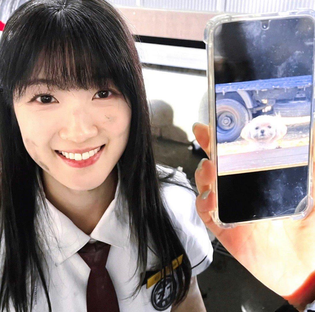 公主👸 金惠允眼睛亮晶晶的小狗 ​​​