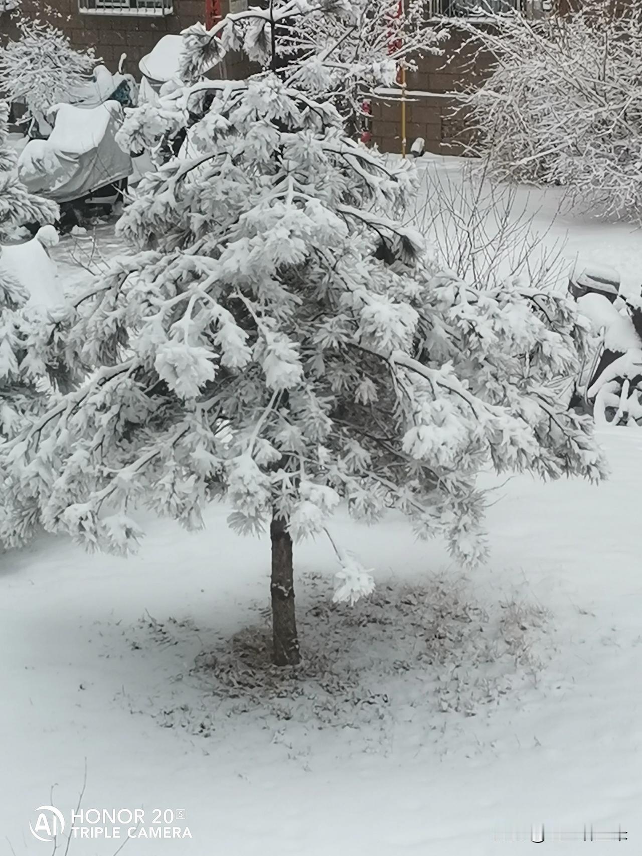 瑞雪兆丰年，山西省各县区2月9日，2月12日普降二场大雪，缓解了十年九春旱，春播