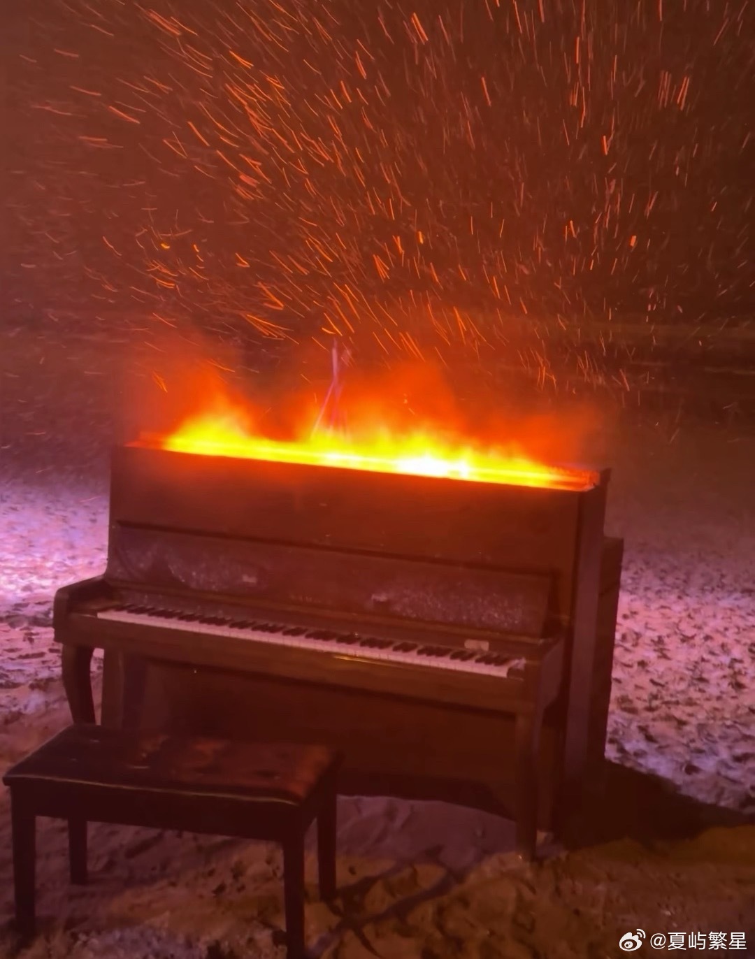 读书使我成为照亮自己的人我的私人宝藏书单书评 预支一段如莲的时光——致那个来不及