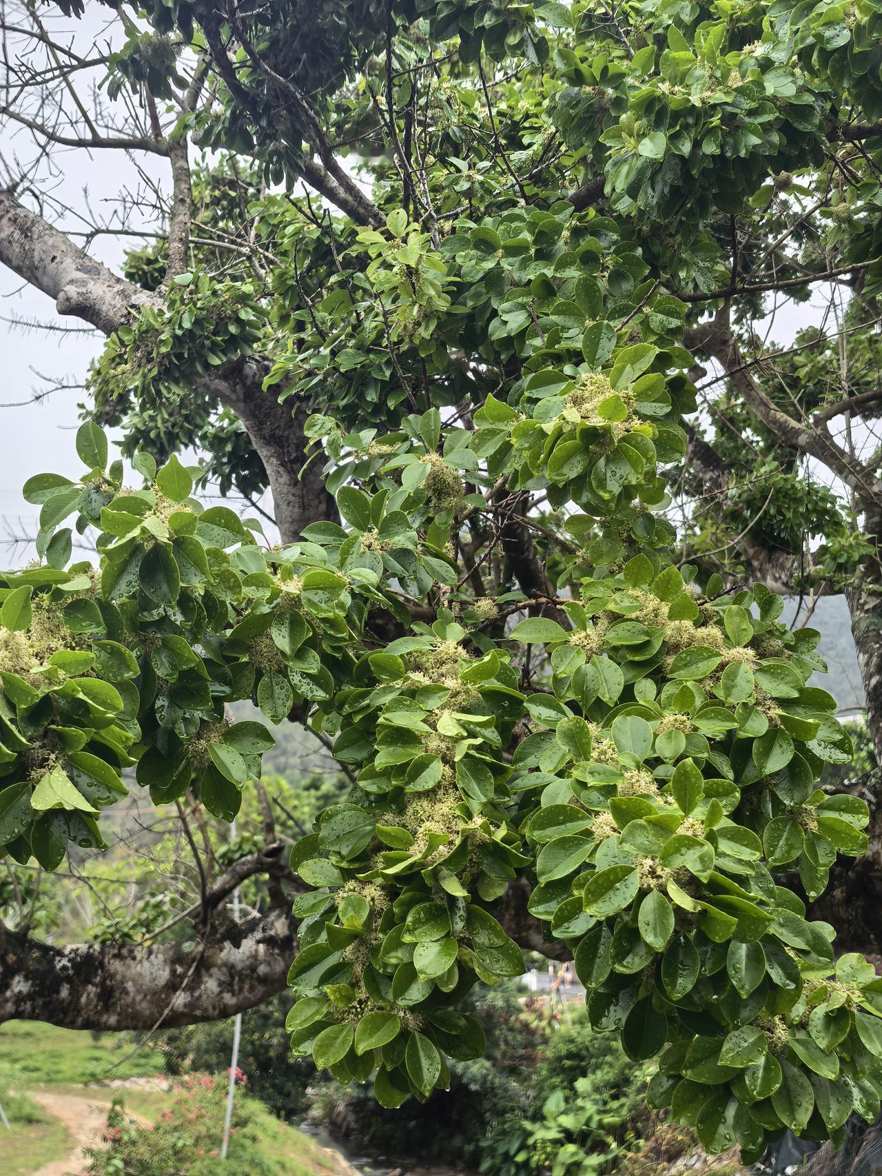 不要高兴太早！
事情远没有大家想的简单，今天的普涨犹如久旱逢甘霖，让大家都回了一