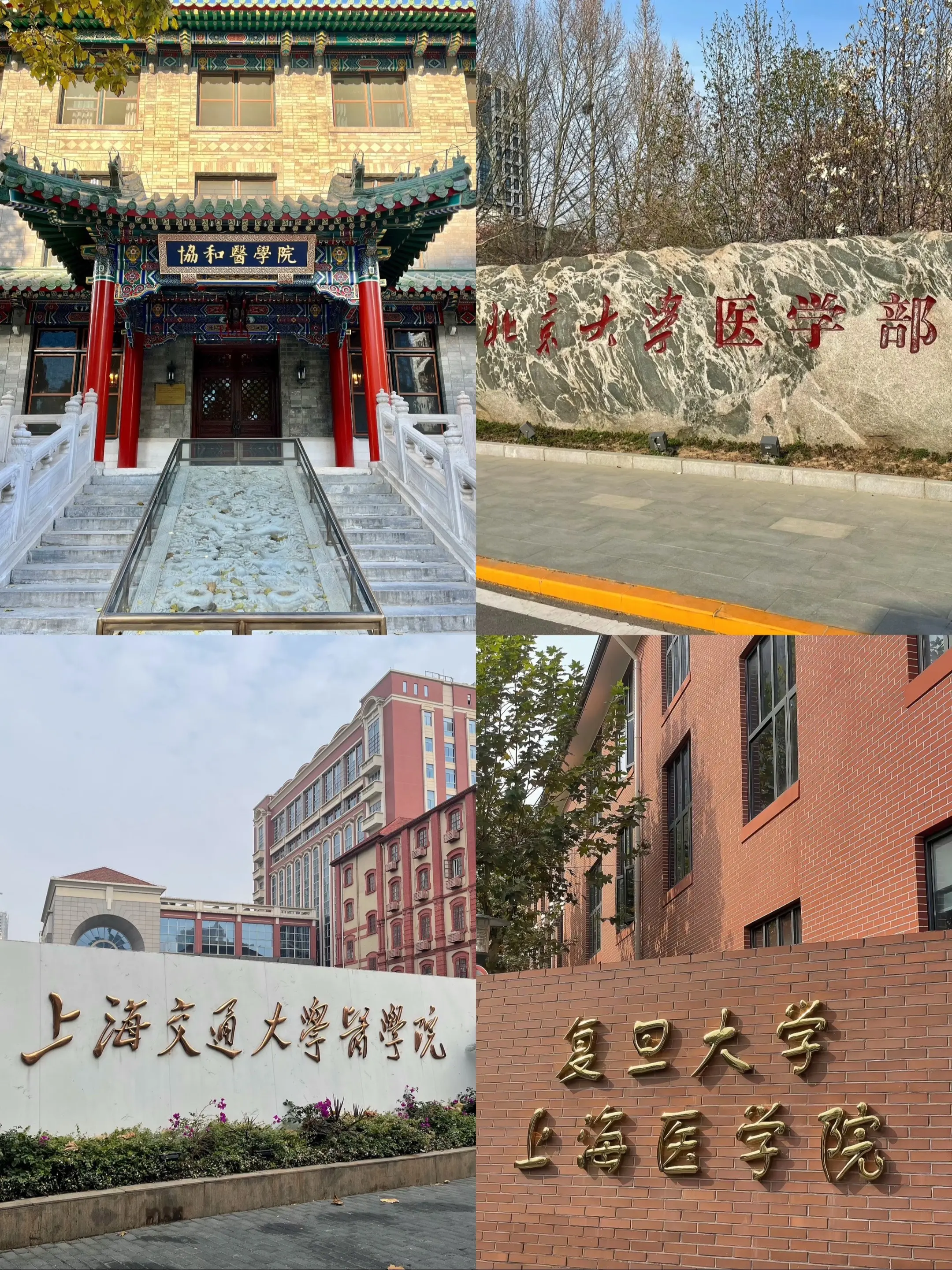 “如今医学院的第一梯队”