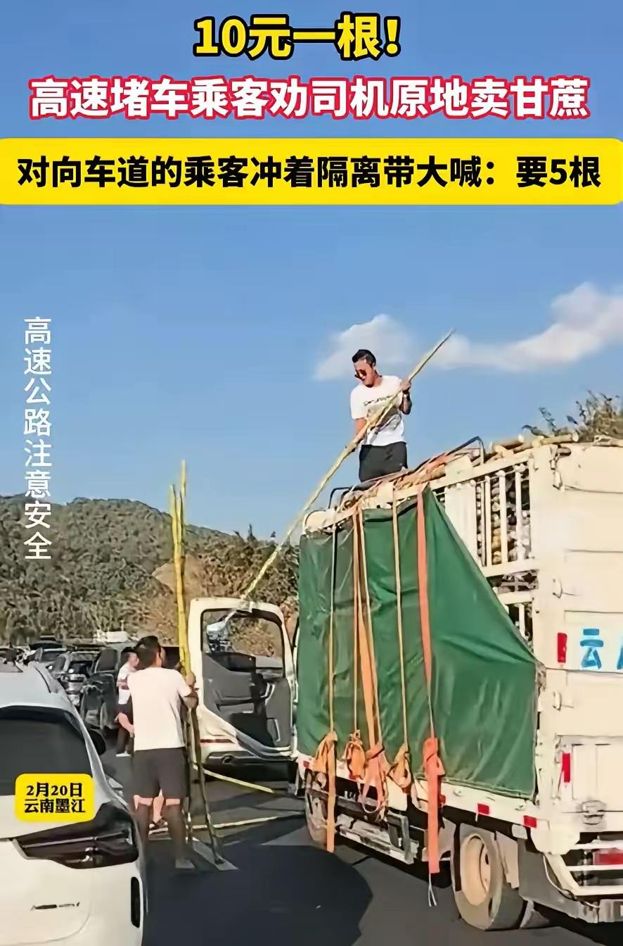 万万没想到！云南，一男子拉着一车甘蔗上高速，不料，才上去没多久就赶上了高峰期，堵