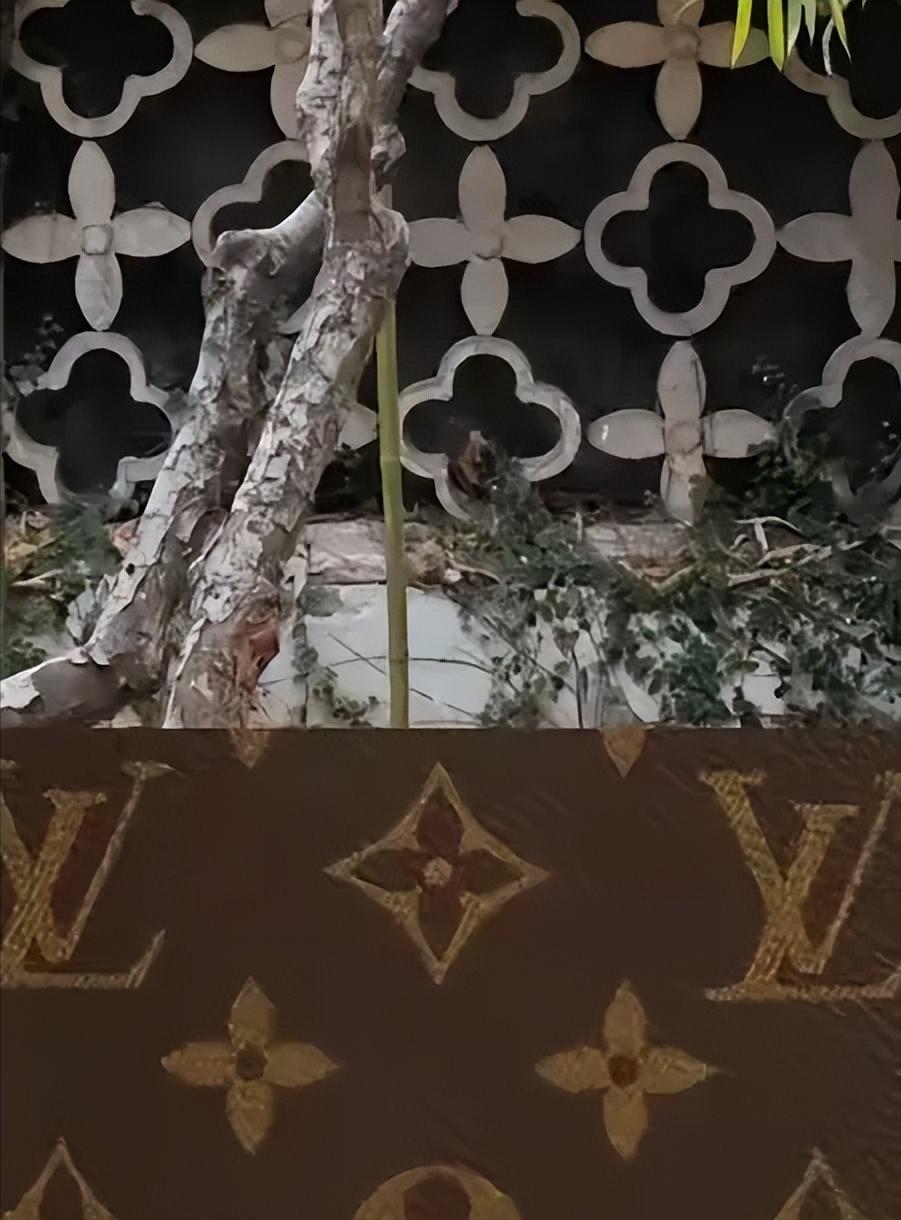 LV胜诉了，拿到了巨额赔偿，这本身不是什么新鲜事。真正让无数人感到愤怒和荒谬的，