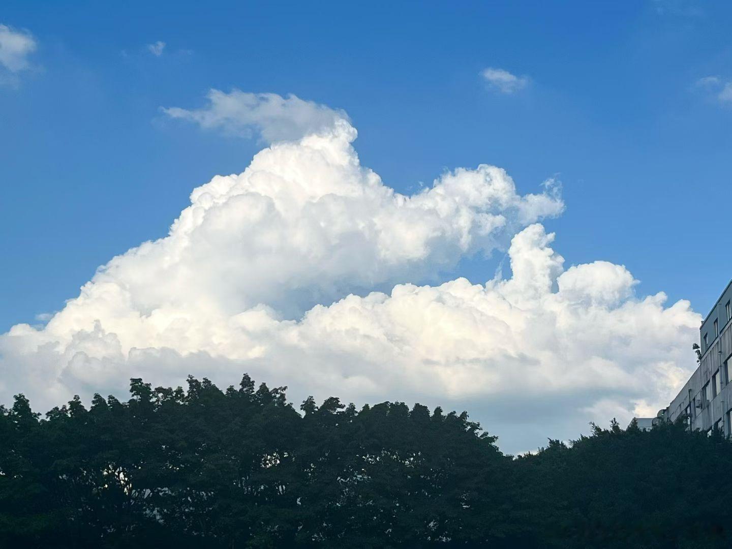今年今日天气晴 