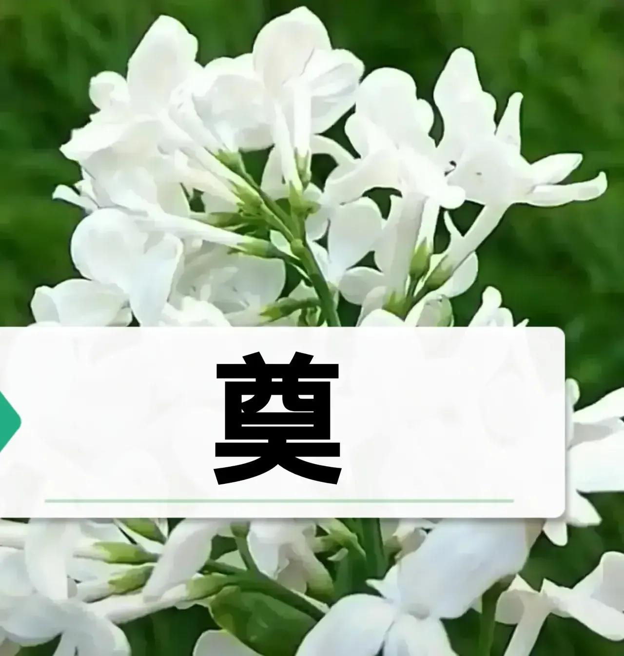 [流泪][流泪]平民总理李克强同志磕然长逝，举国悲恸，山河垂泪。
      人