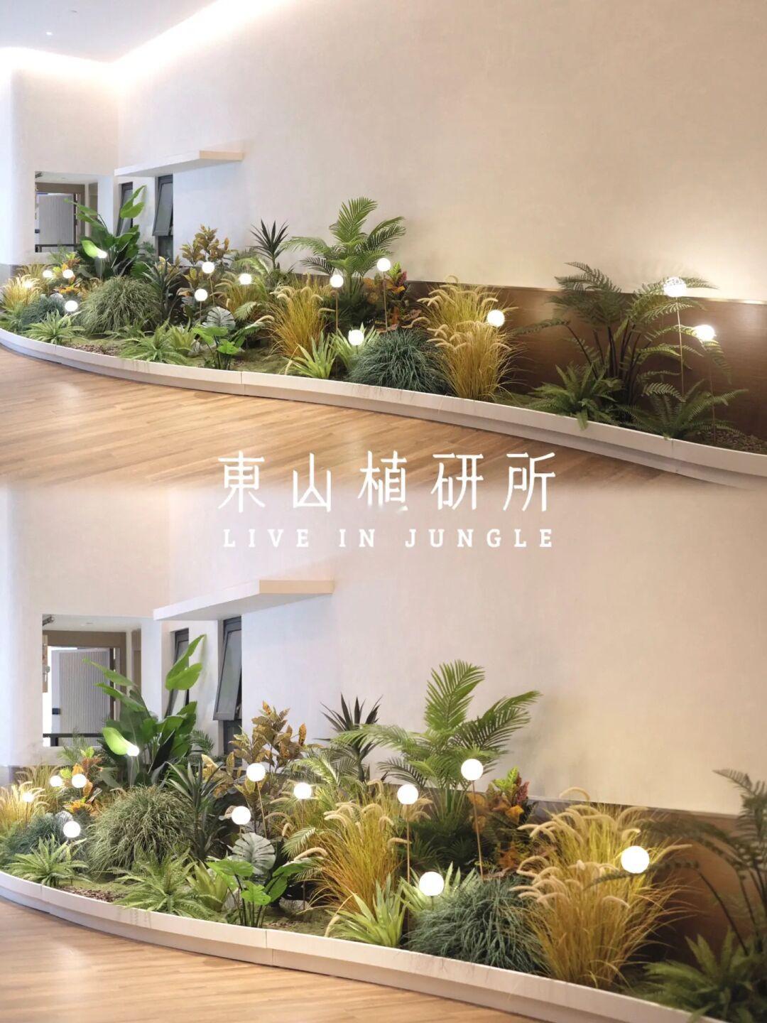 植物造景|植物的和谐舞曲 💃柔美氛围感