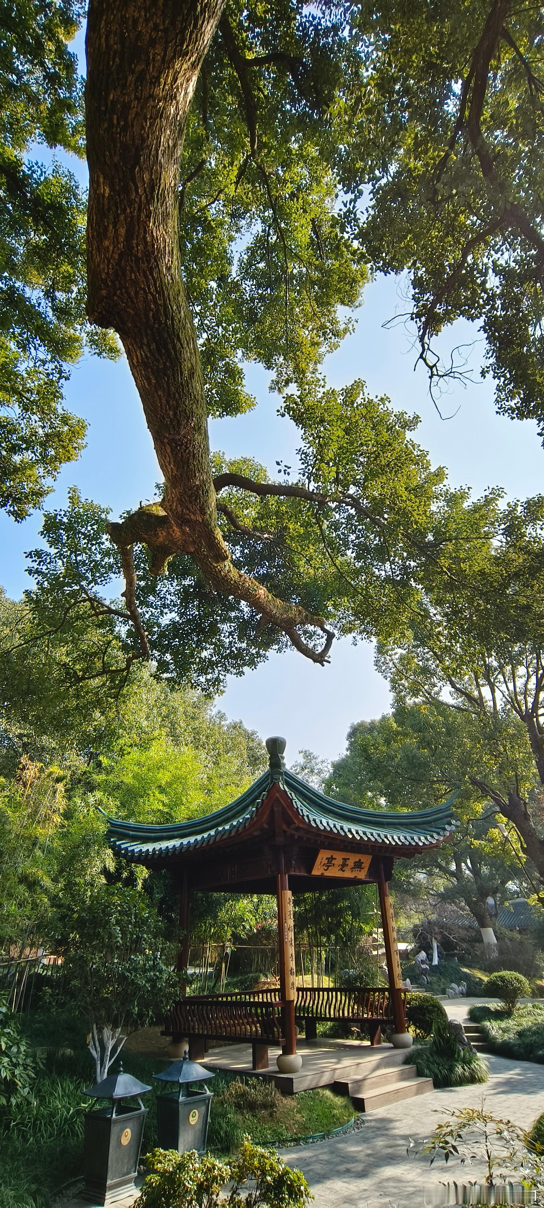 江西九江  东林寺（十三） ​​​