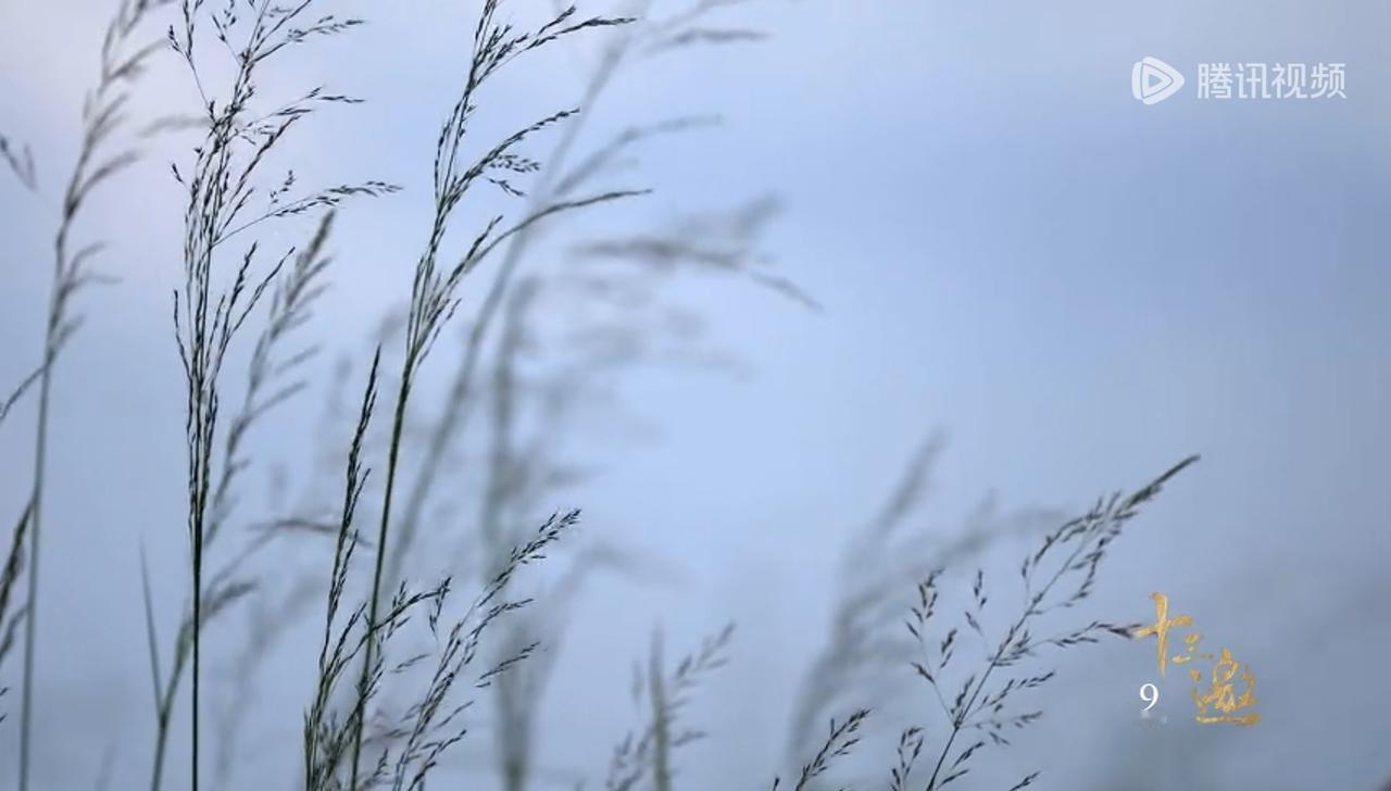 目的核心意义：记录、校准与提供“确信”

最新一期节目许知远的《十三邀》与姚明的