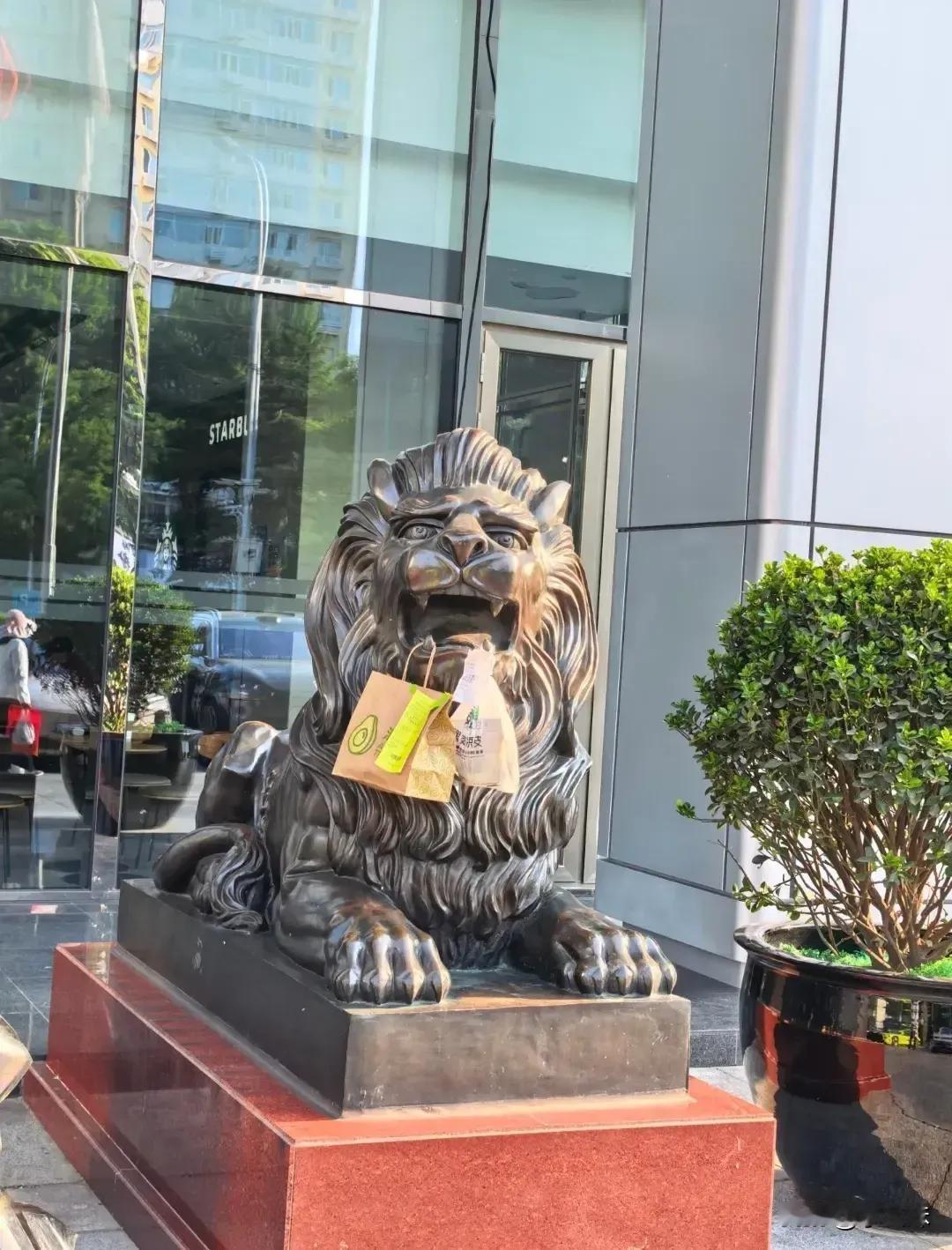 终于知道现在门口有些狮子是没张嘴的了
