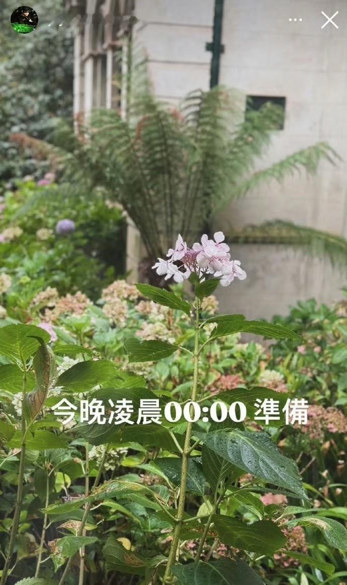 周杰伦说今晚0点准备来！看图 一起猜猜专辑名！3月17日，周杰伦社媒更新：“今晚