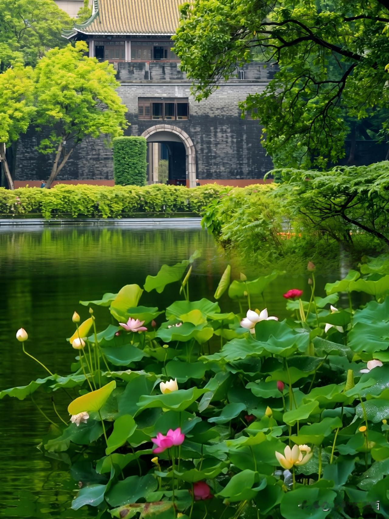 东秀湖赏荷
   漫步越秀公园东秀湖畔，一池荷塘铺展满目清凉。层层翠盖浮于碧波，