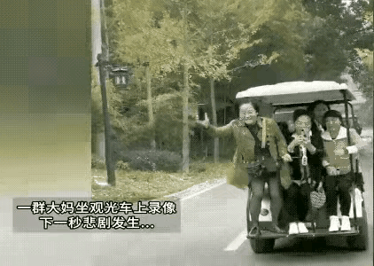 乐极生悲！看着摔的都疼！
大妈们坐着电瓶车在公园里游玩儿，本是一件高兴的事情。