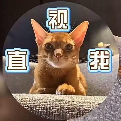 真的有埃及法老的威严了