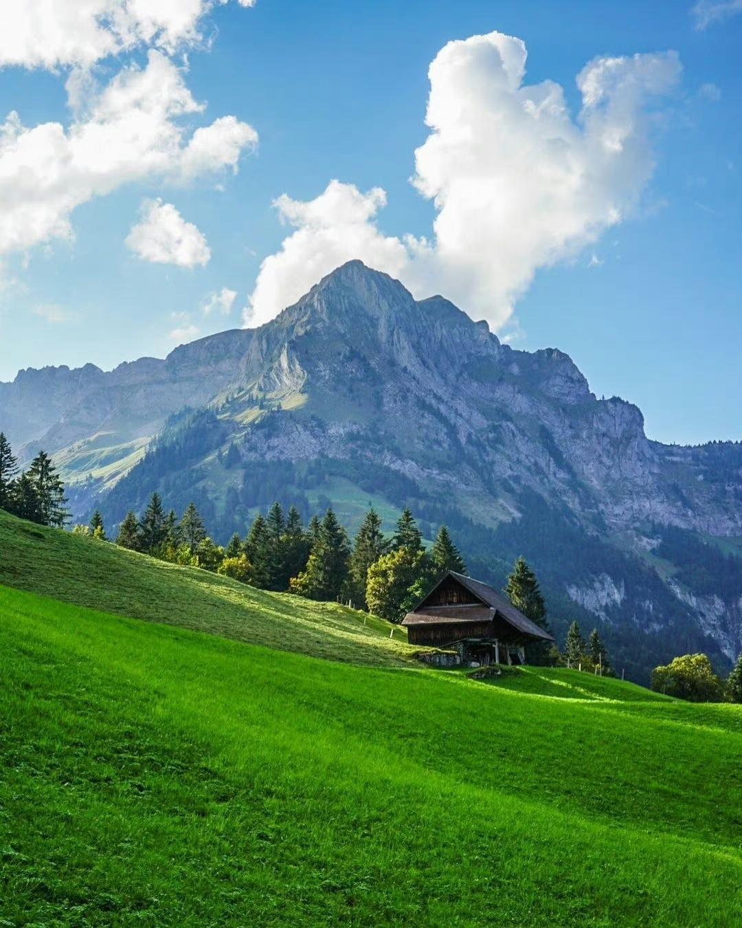 为什么说老美特别的聪明？经济战让很多国家都承受不了，比如说你的制度很好，你是代表