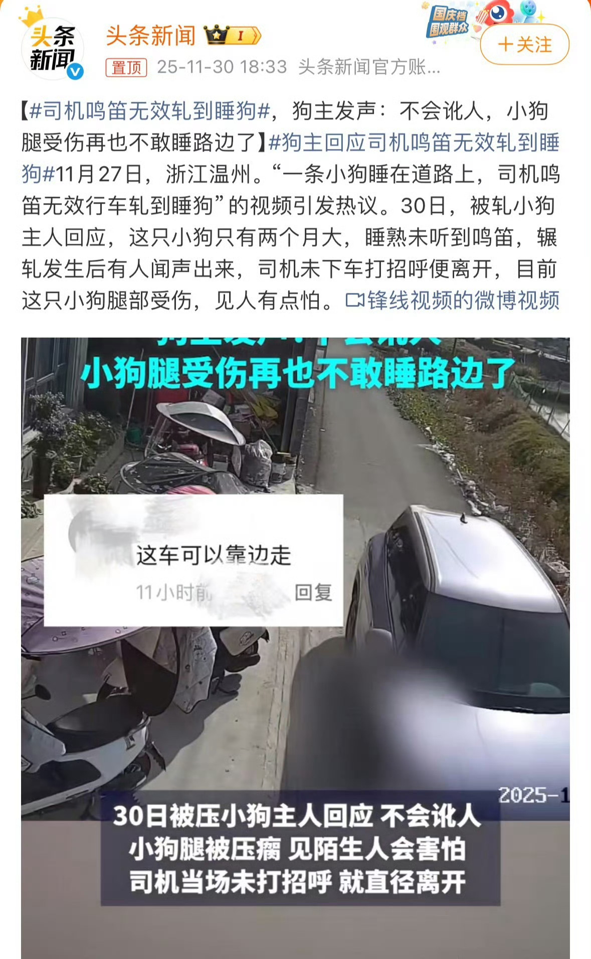 狗主人责任很大，没有讹人，明事理。司机鸣笛无效轧到睡狗