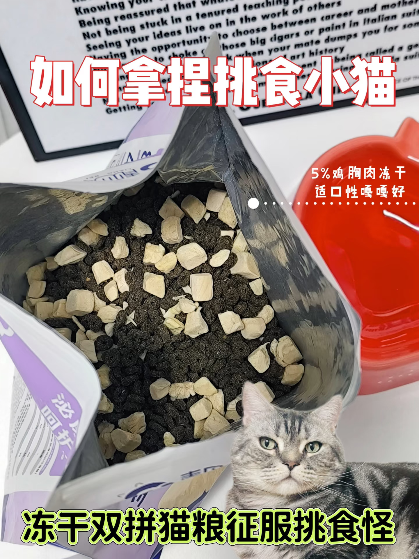 如何拿捏挑食小猫——让你的猫咪爱上每一餐