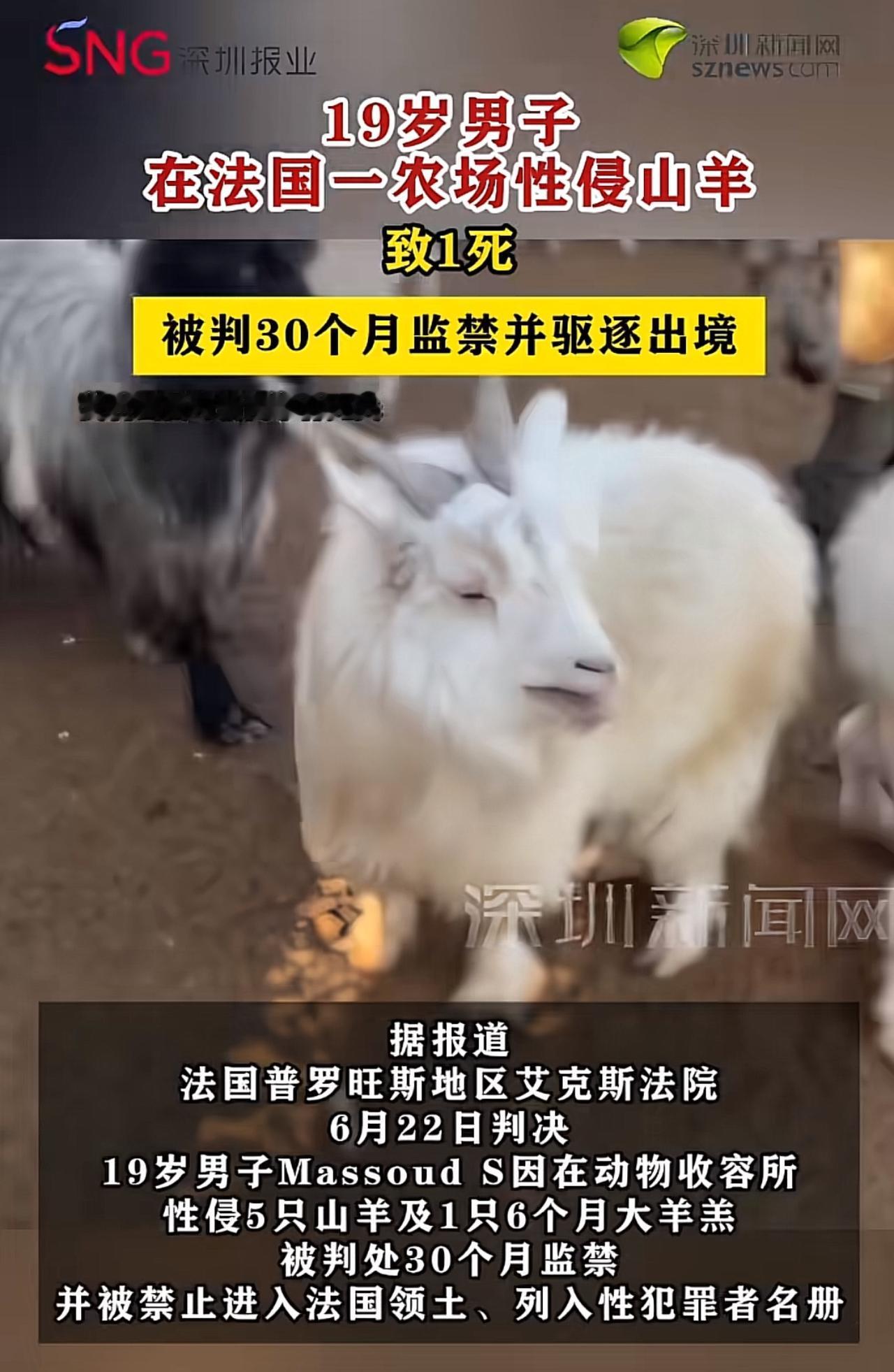 这是一条让人匪夷所思的新闻，法国农场，一名19岁男子深夜潜入动物收容所，性侵害了