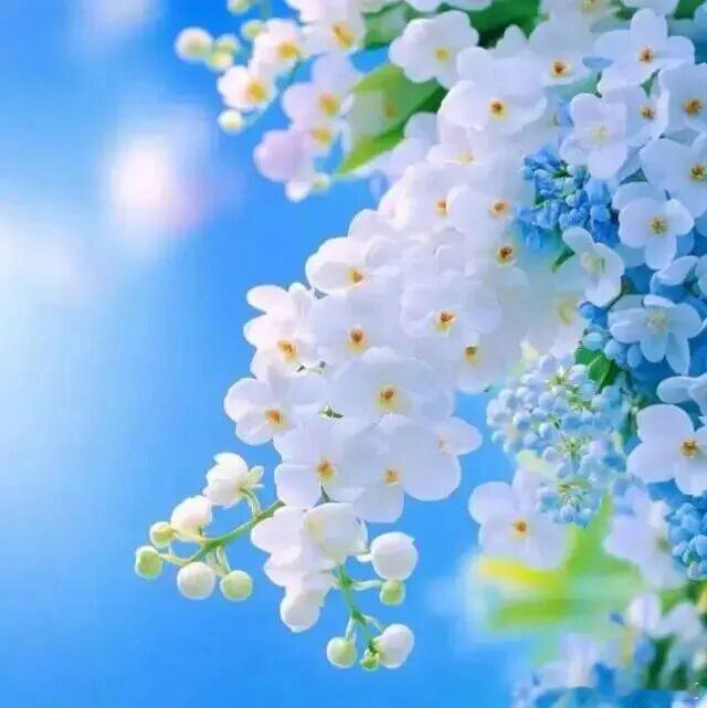 阳光很暖，电量很满，快乐正常营业中！ 