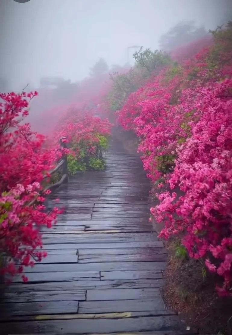 1. 春天的风景就像一幅绚丽的画卷，百花争艳，绿草如茵，让人陶醉其中。
2. 春