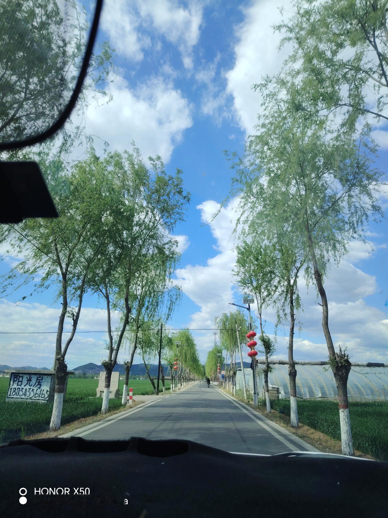 晴空万里，绿树成荫，一路风景美如画。