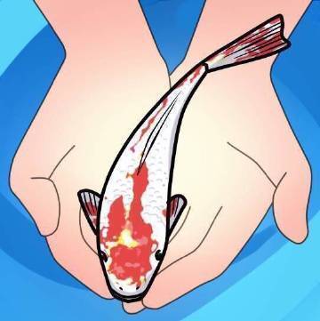 转赞锦鲤，会有意想不到的好事发生。 ​​​