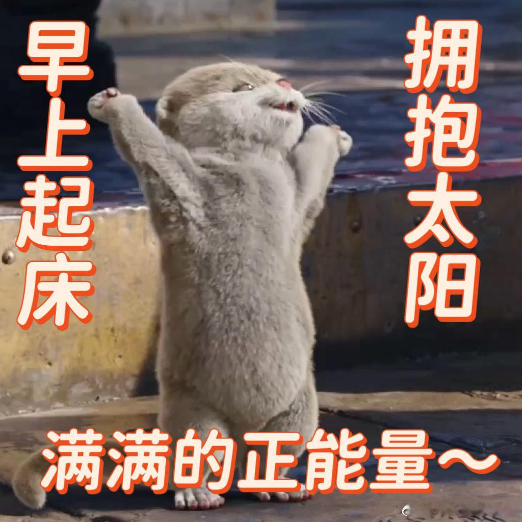 王影璐献鱼邪恶小水獭明明超想知道情况，却不敢大大方方，好奇又怕被抓包的小模样，看