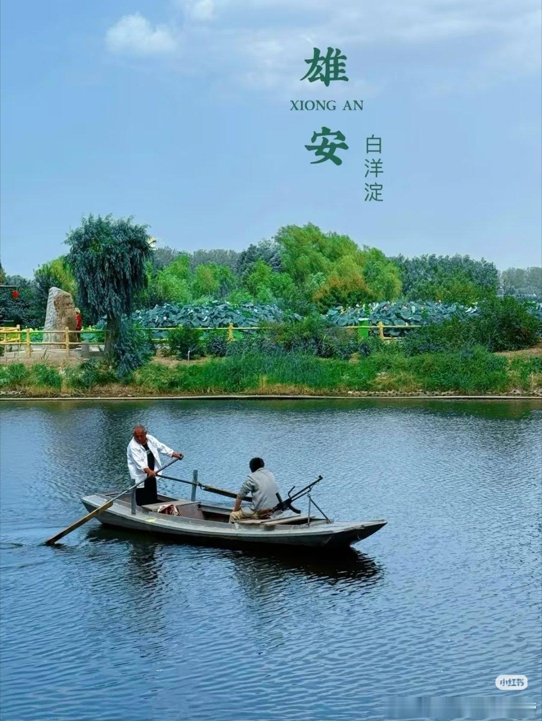 雄安生态向好白洋淀鸟增90种鱼翻倍 白洋淀治理后水特清，鸟儿多了90种，鱼也翻倍