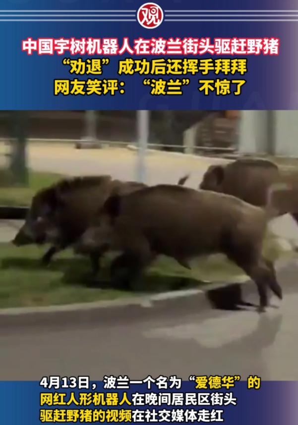 机器人能进厂打螺丝，我忍了；机器人跑得比人还快，我也忍了；可我实在不能忍受的是，