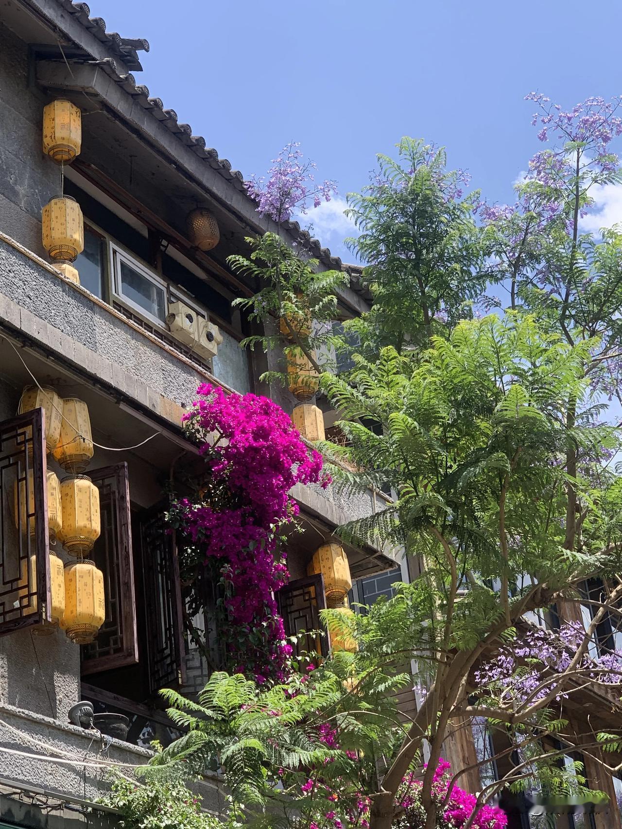 🧺五月过半，
山河丰盈，草木繁茂。

风儿聚又散，
云朵来又往，
守住一颗宁静