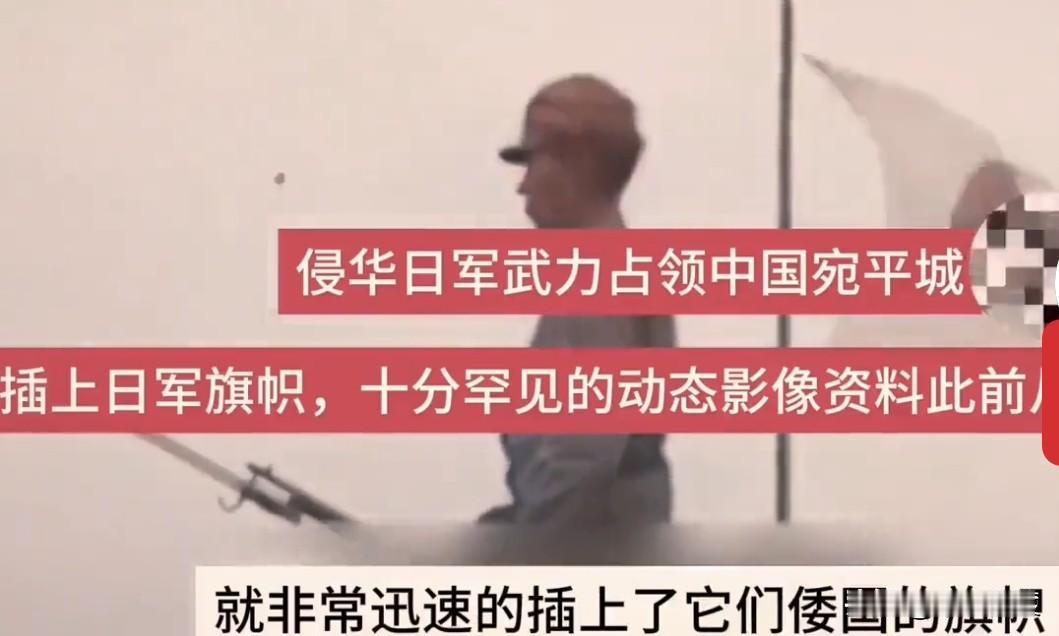 当年老蒋不抵抗，导致日本鬼子长驱直入，让国家民族蒙难，其罪恶不亚于鬼子的烧杀抢掠