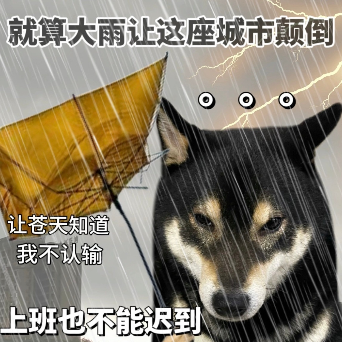 雨下的比祺贵人跪养心殿的那天还大[泪]#深圳暴雨# ​​​