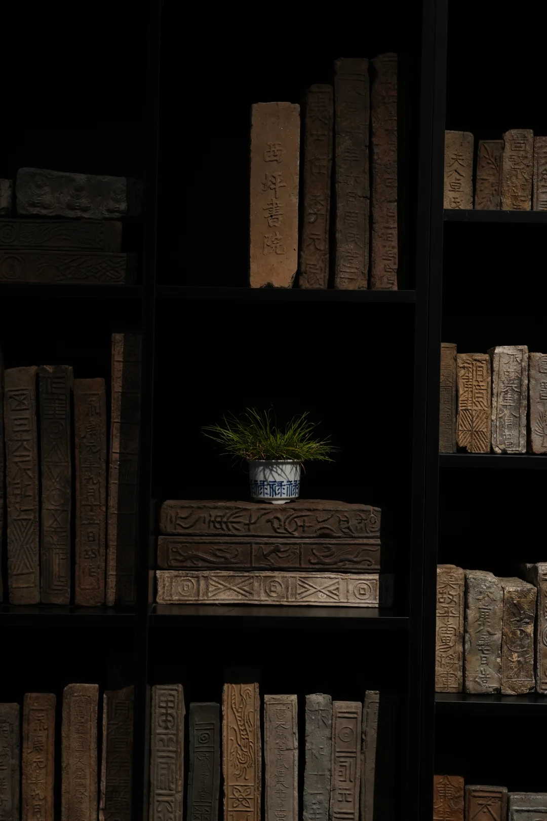 你心中的蒲草是怎么样的