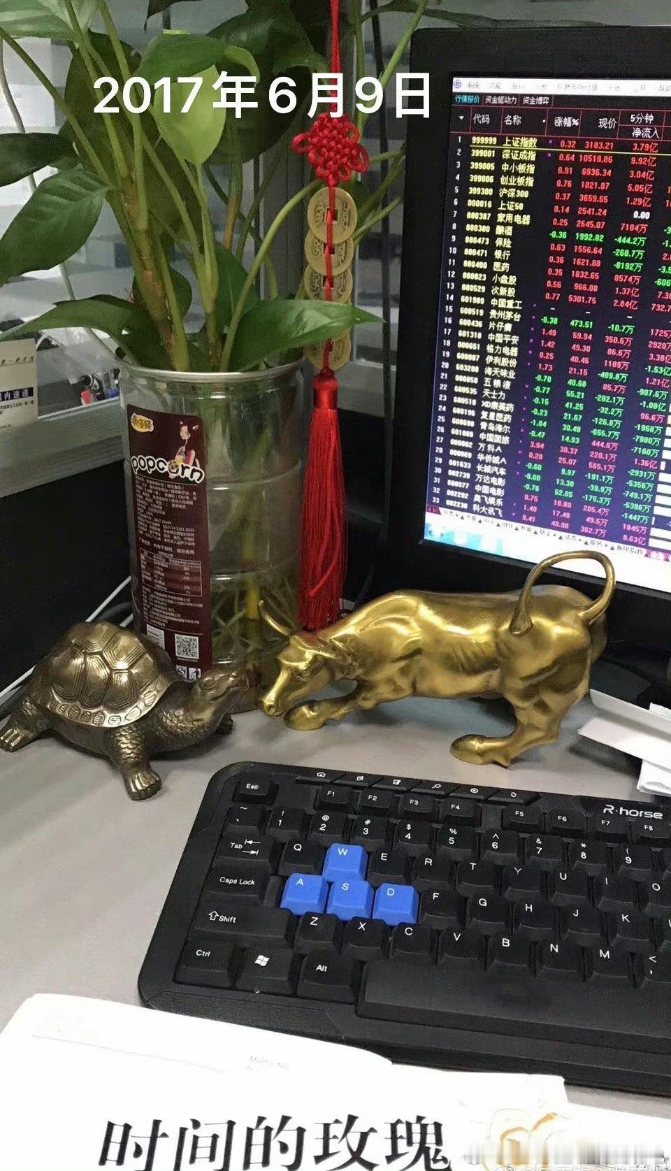 抓大放小，买龙头，买绝对龙头。 一牛一龟，已经陪伴老乌龟走过了无数黑暗的岁月。 