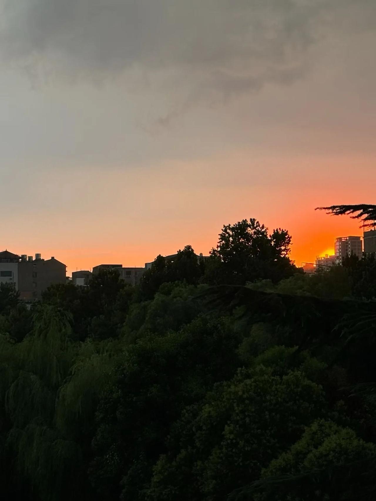 提问你们那里的方言膝盖叫什么呢我们这边膝盖叫不老盖，日常走路磕碰常会说磕着不老盖