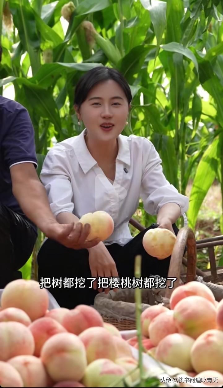 樱桃没卖成让相宜很是失望，这次她又准备直播带货卖白良村的桃子了，相宜说她再不给乡