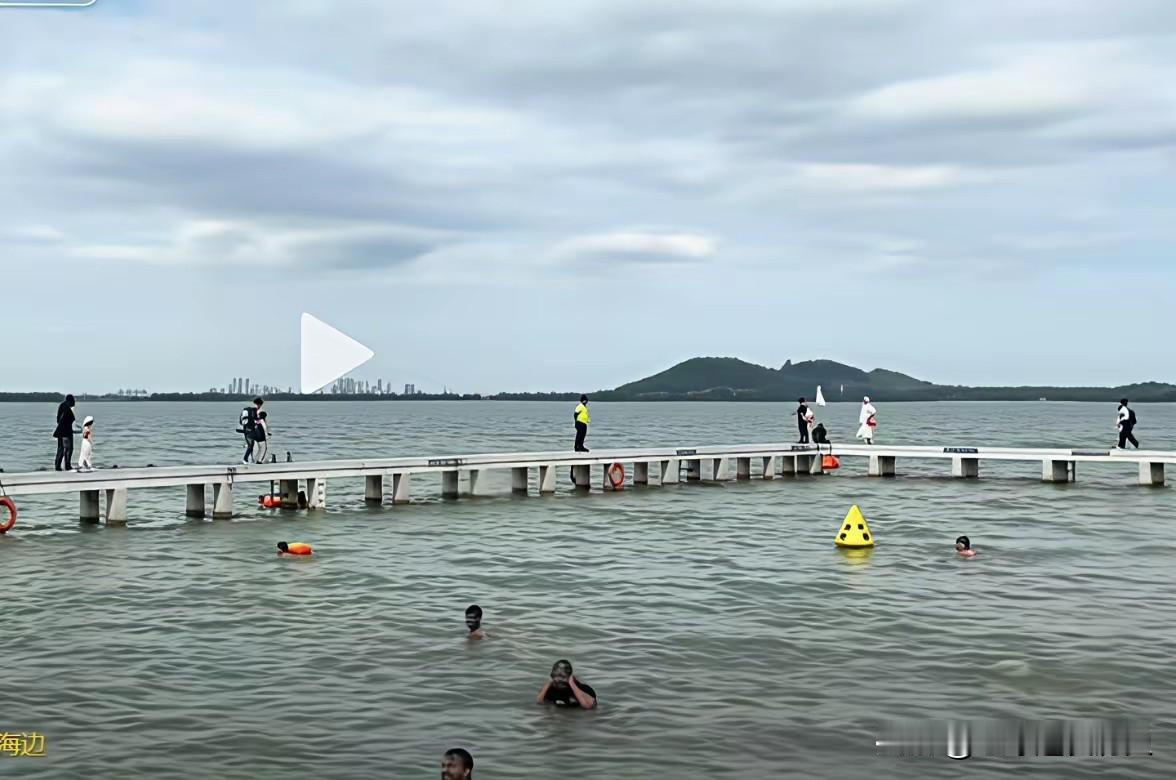 东湖之水清悠悠，阿三入水意难酬；
东湖之水美盈盈，阿三到此水蒙羞。
近日，武汉东
