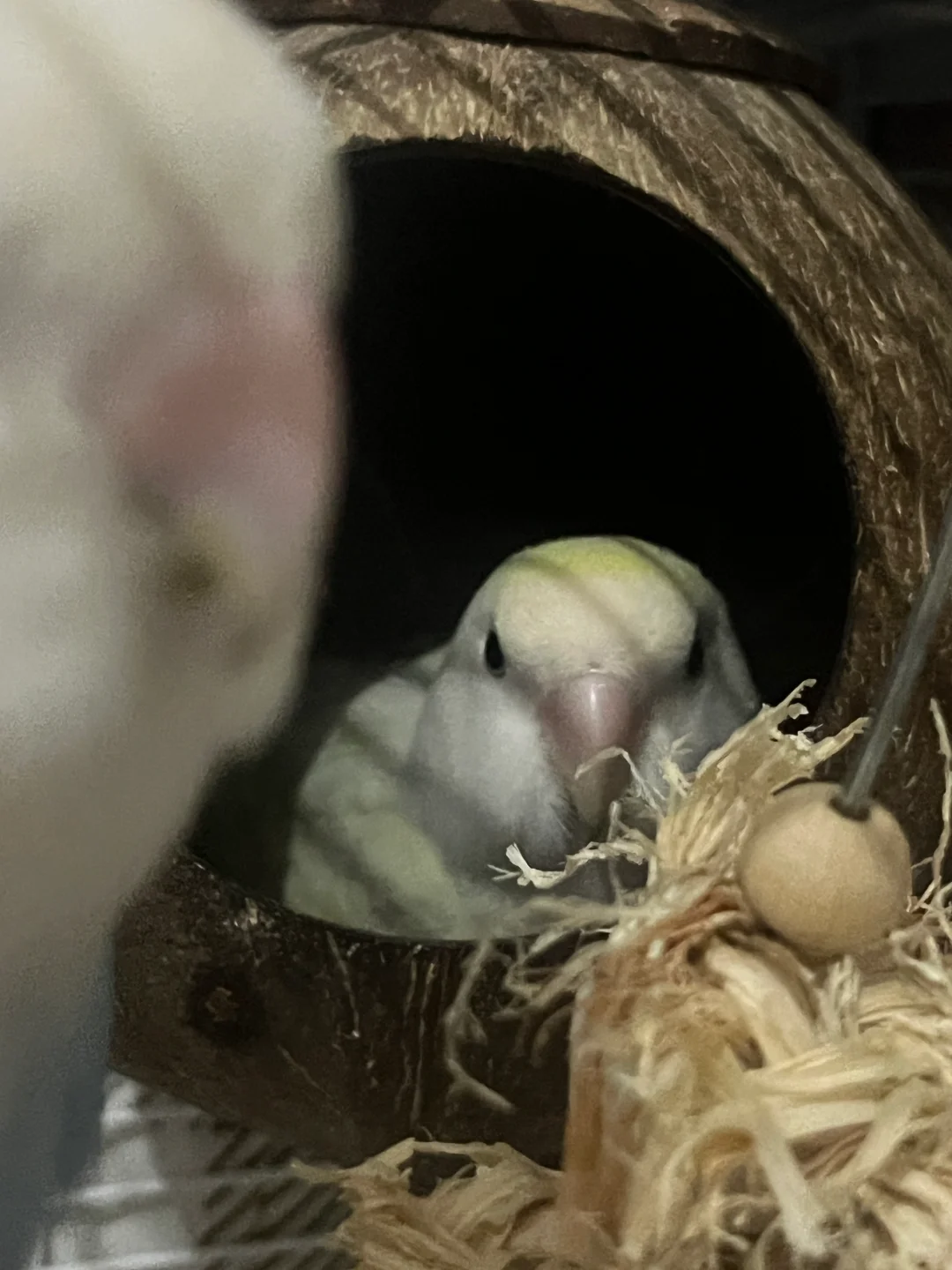 I‘m watching you.