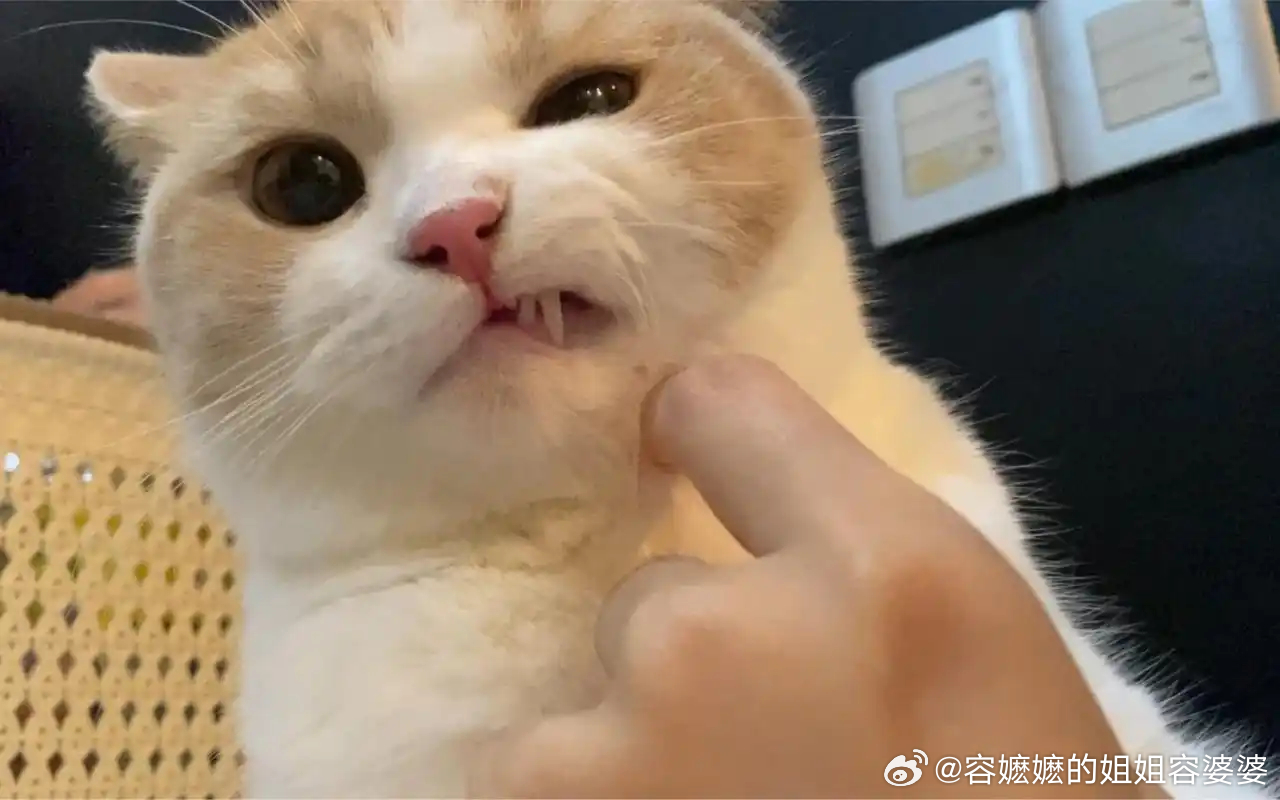 建议禁止性侵未成年罪犯进入幼儿园最近几个特别火的建议出自于律师，为啥律师能火出圈