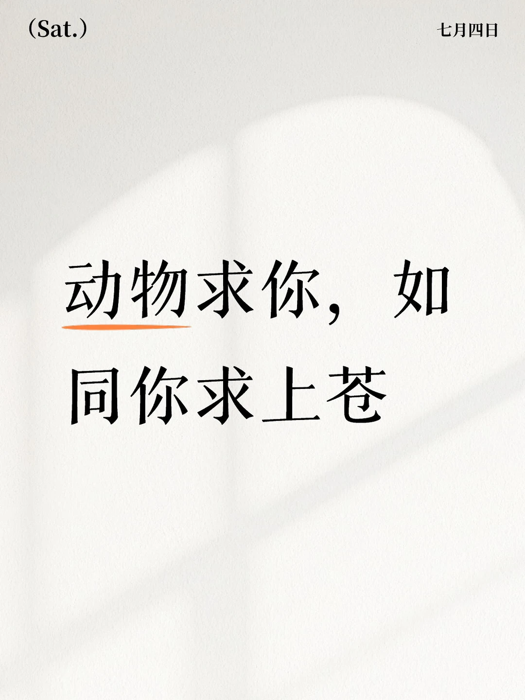 这件事给我带来了难以平复的巨大精神内耗