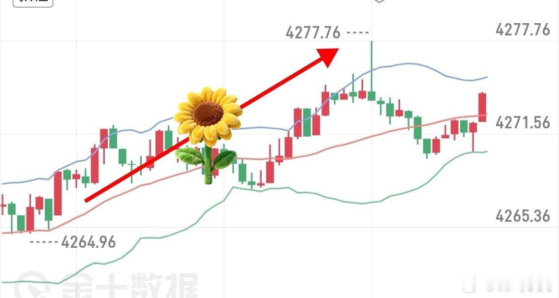黄金4264哆，提示在72出，又是10典以上现货黄金外汇黄金外汇黄金[超话] ​
