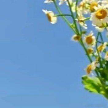 阳光信用🍅阳光信用 每日‬一善 慢慢来，真的没关系。你只管认真生活，剩下的交给