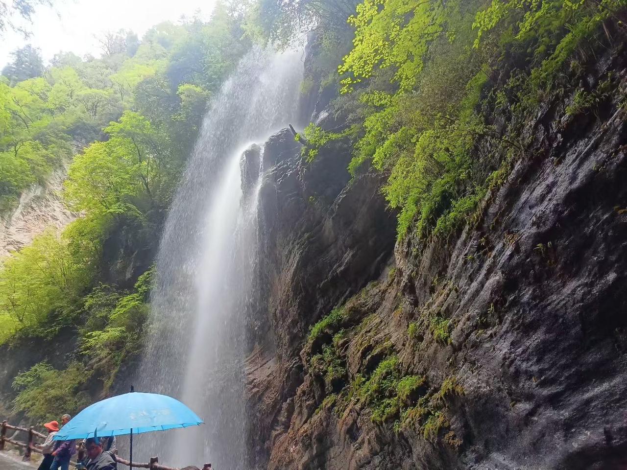 九寨沟的神奇美景,喜欢吗? 瀑布飞流直下，人间仙境现。那飞泻而下的瀑布，宛如一条