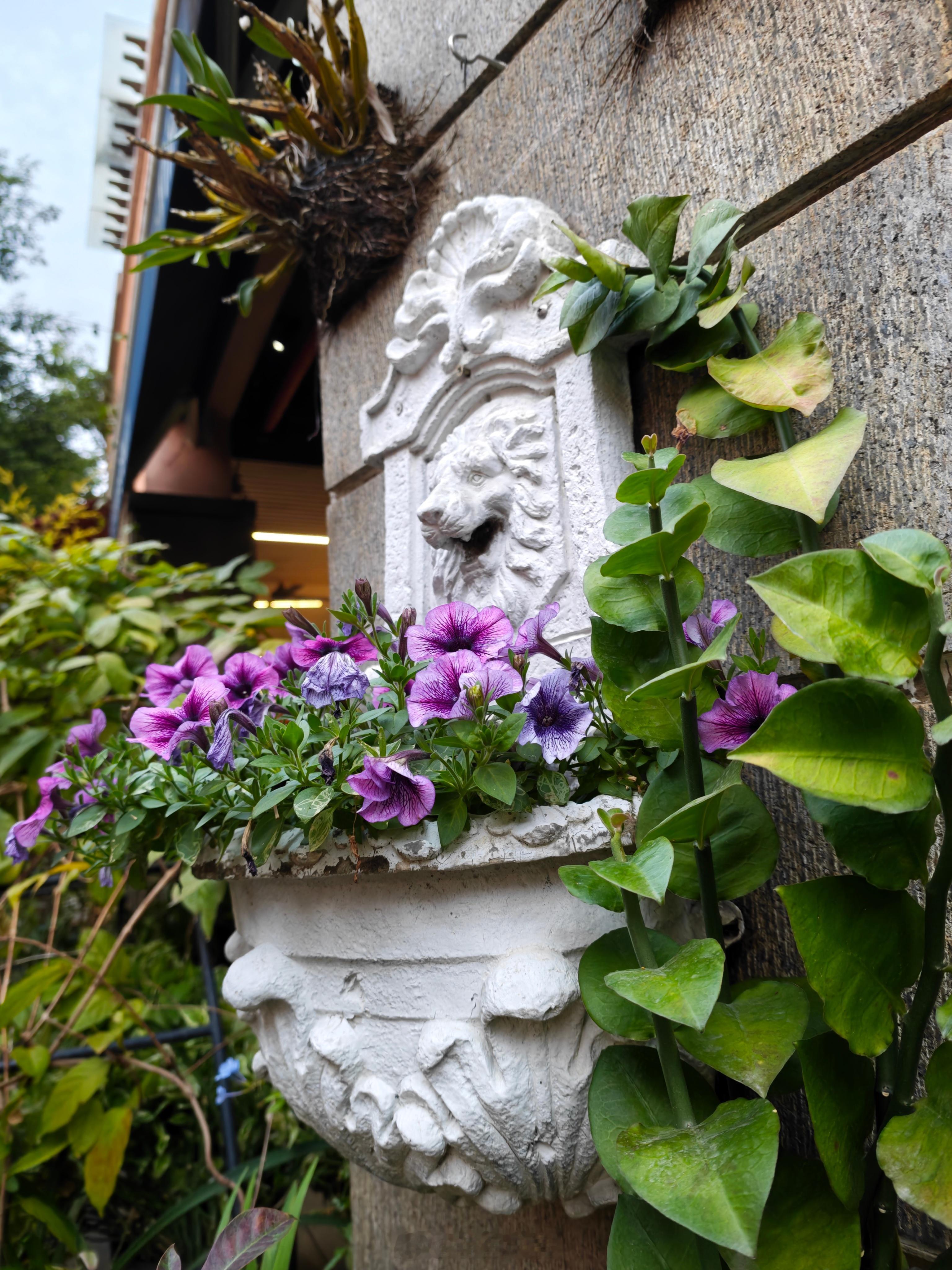 原来真有人上班是开心的做自己觉得好玩，但别人感觉是工作的事月薪是世界上最温柔的麻