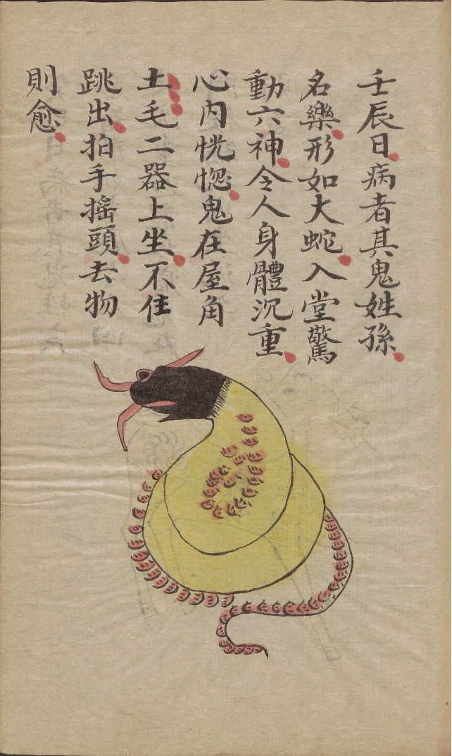 生活手记 壬辰日，病者其鬼姓孙，名药，形如大蛇，入堂惊动六神，令人身体沉重，心内