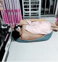 这是得喝多高啊？才能把狗狗误当成老婆搂着睡！