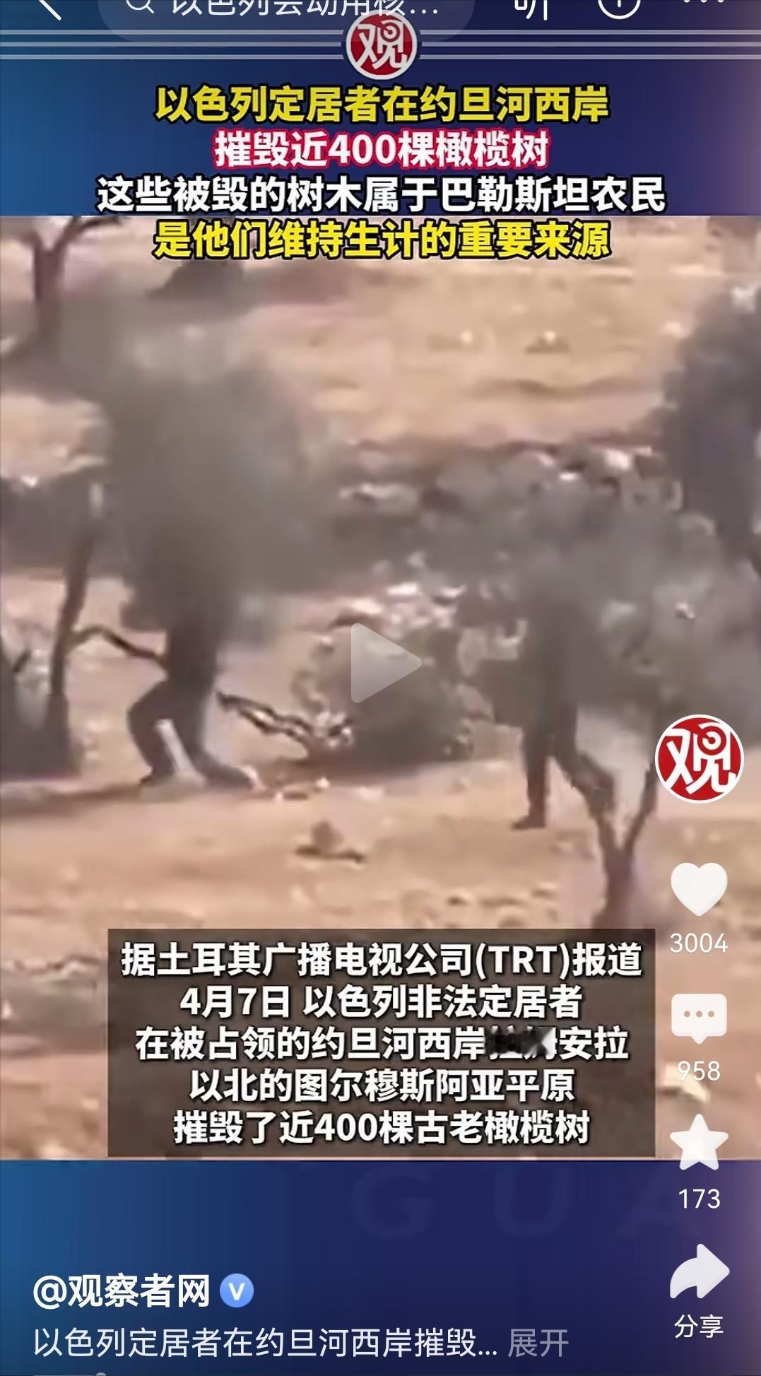 砍400棵巴勒斯坦橄榄树?
 
今天看到约旦河西岸的新闻，真的气得手发抖。就在4