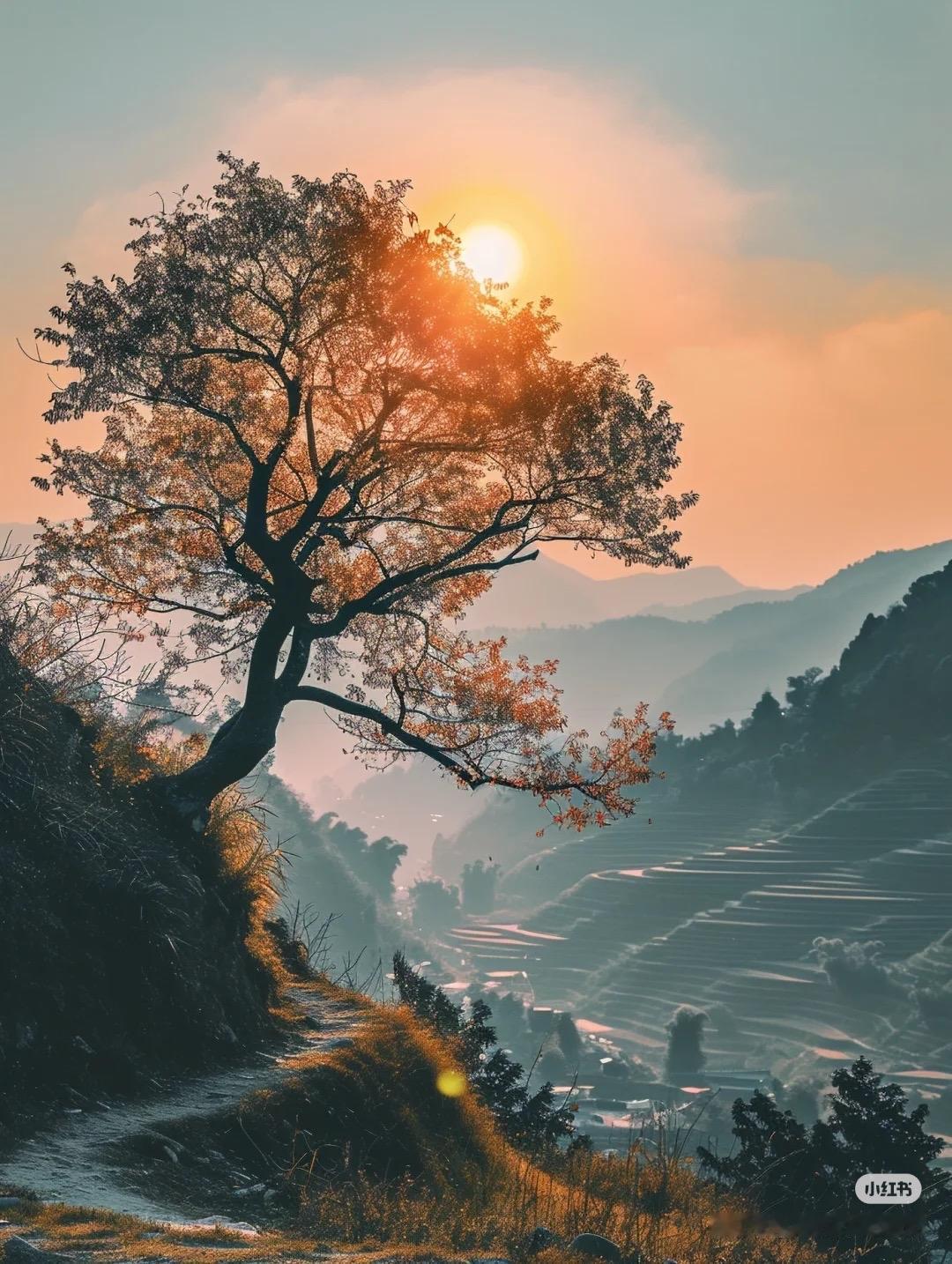 好看风景照分享