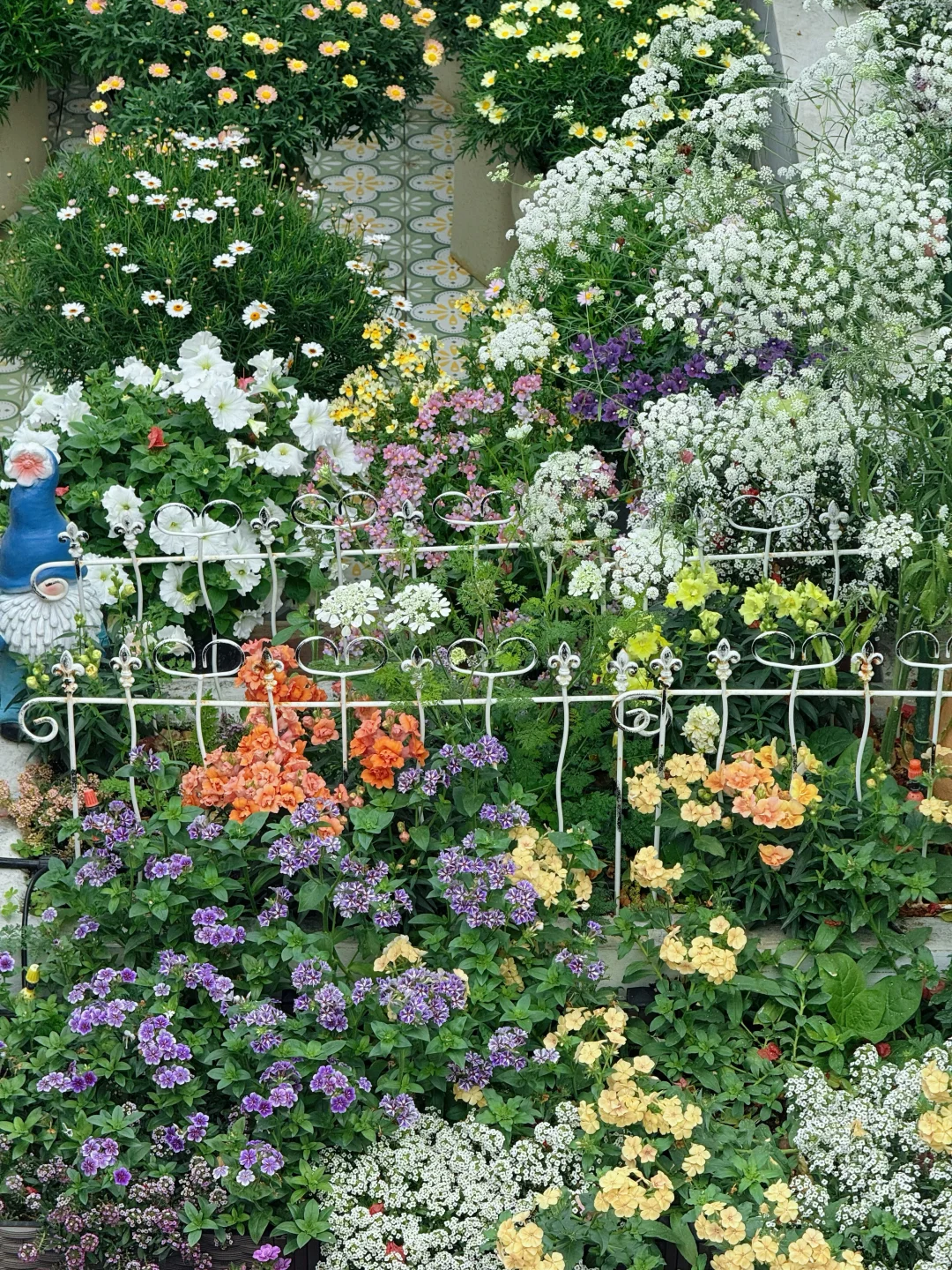 每天要看它们一百次